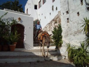 228969_10150243843286750_5204194_n